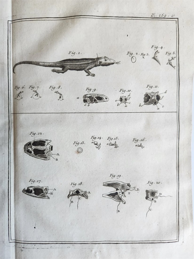 1766 MEDICAL TREATISE ILLUSTRATED ANATOMY by Francois PLANQUE antique V. 9 - 11