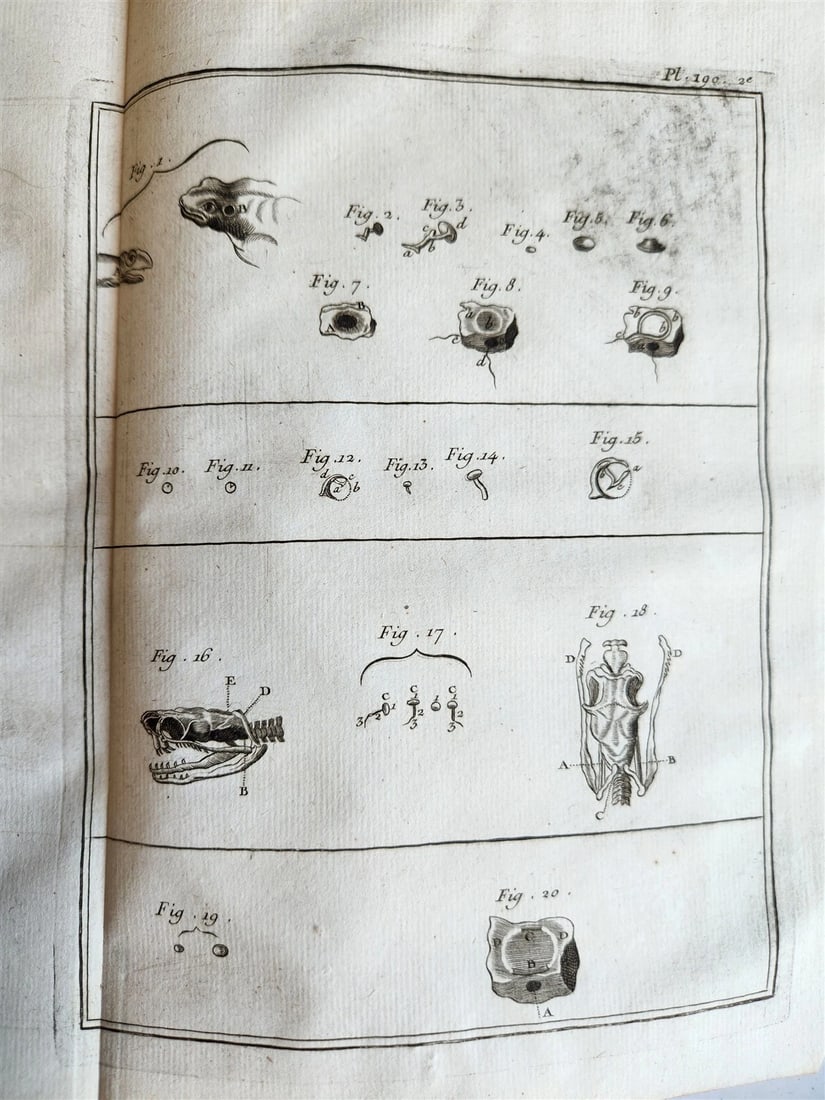 1766 MEDICAL TREATISE ILLUSTRATED ANATOMY by Francois PLANQUE antique V. 9 - 12