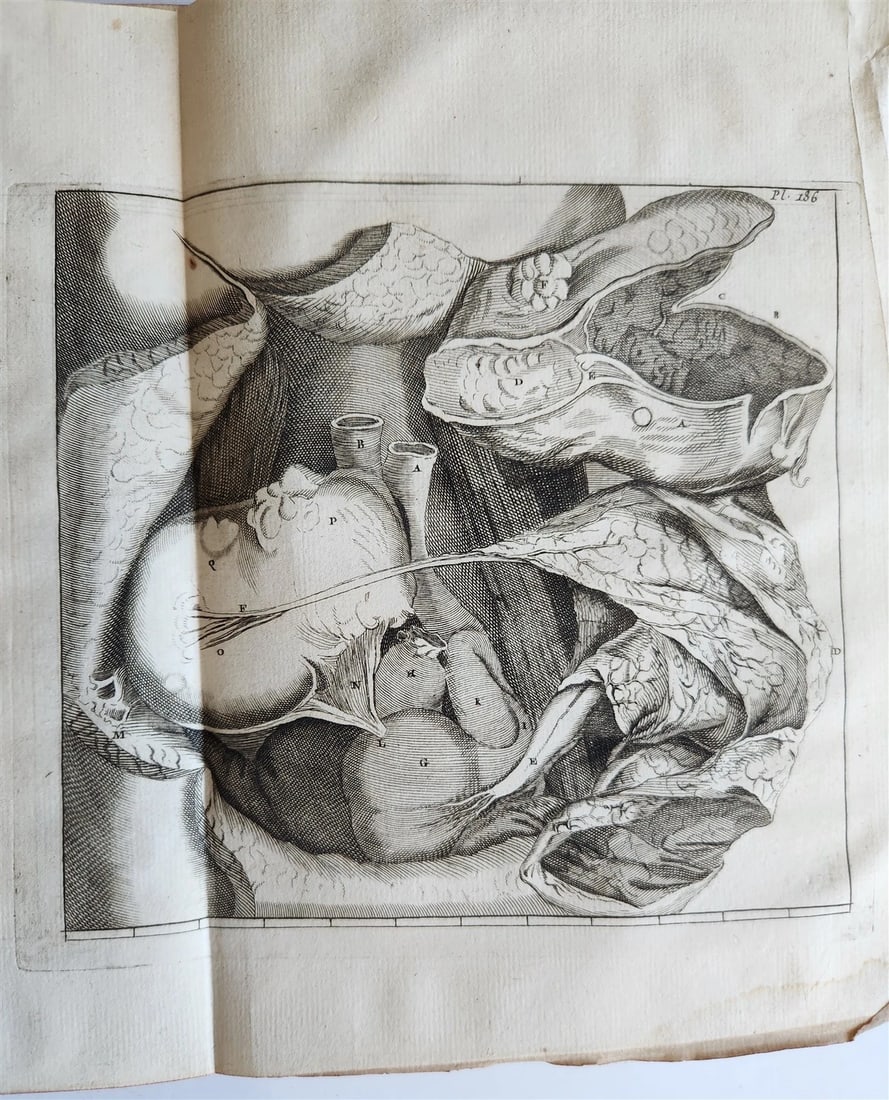 1766 MEDICAL TREATISE ILLUSTRATED ANATOMY by Francois PLANQUE antique V. 9 - 7