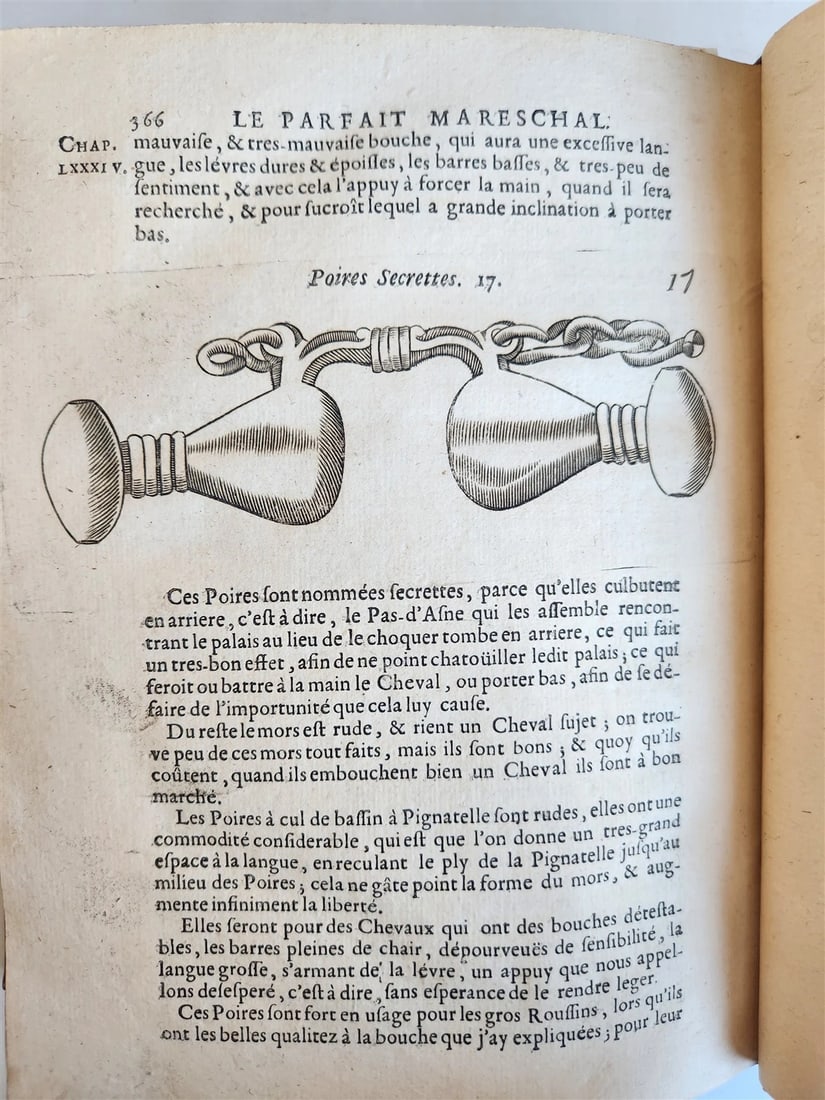 1680 COMPLEAT HORSEMAN antique ILLUSTRATED Le parfait mareschal by J. SOLLEYSEL - 15