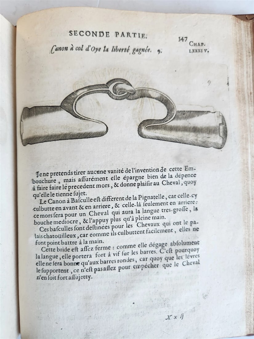 1680 COMPLEAT HORSEMAN antique ILLUSTRATED Le parfait mareschal by J. SOLLEYSEL - 7