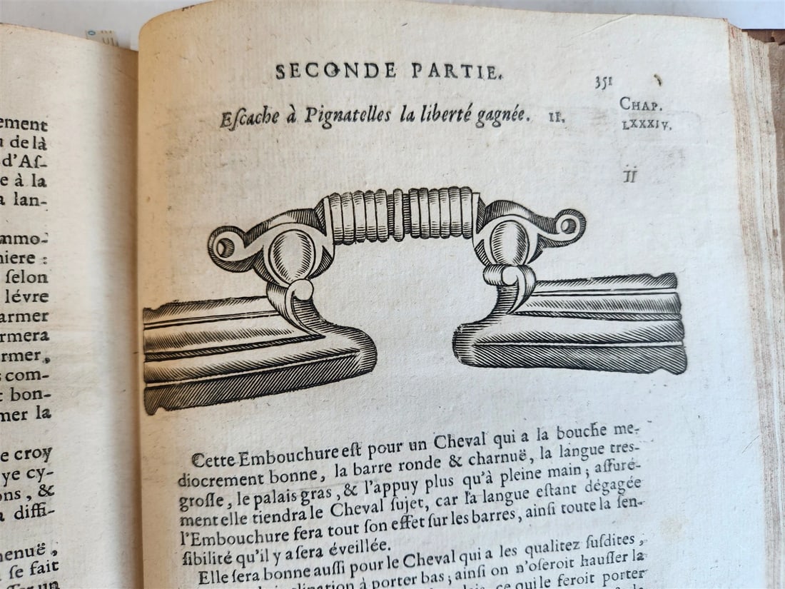 1680 COMPLEAT HORSEMAN antique ILLUSTRATED Le parfait mareschal by J. SOLLEYSEL - 9