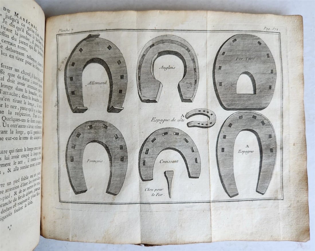 1792 HORSE ANATOMY VETERINARY TREATISE ILLUSTRATED w/ 9 WOODCUTS antique - 11