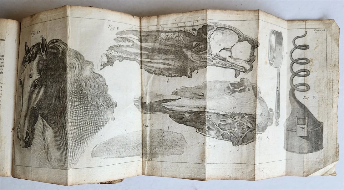 1792 HORSE ANATOMY VETERINARY TREATISE ILLUSTRATED w/ 9 WOODCUTS antique - 7