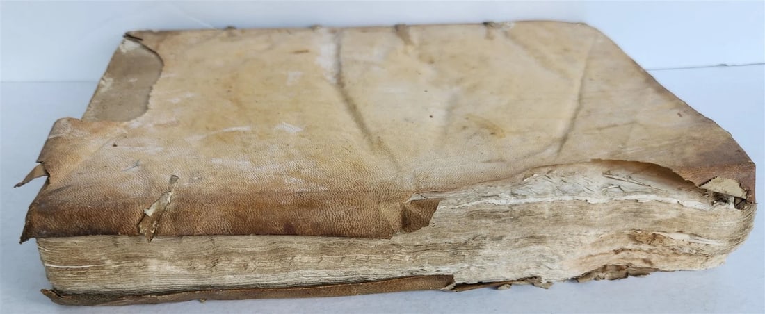 1567 CANON LAW antique 16th CENTURY FOLIO vellum binding Decisiones Canonicae - 3