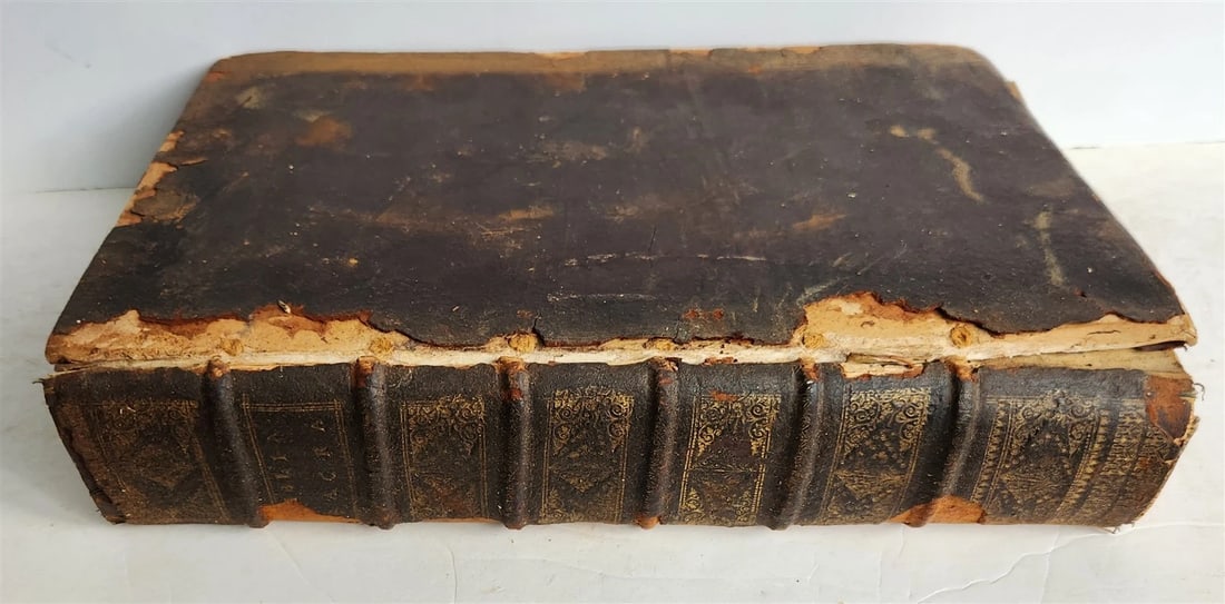 1565 BIBLE ILLUSTRATED MASSIVE FOLIO BIBLIA SACRA antique in LATIN 16th CENTURY - 4