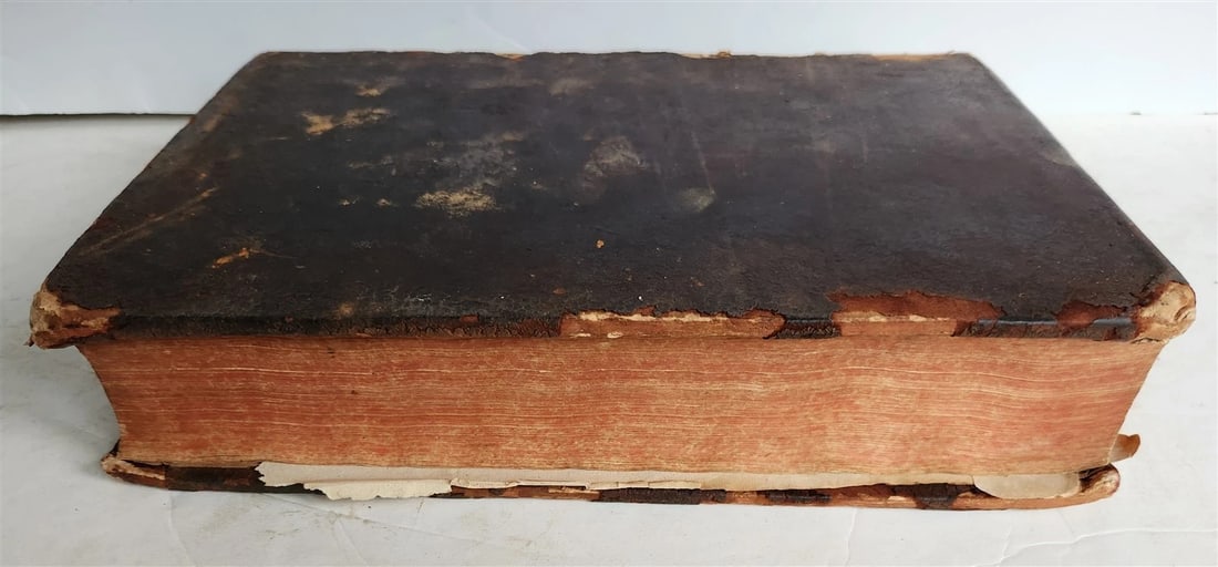 1565 BIBLE ILLUSTRATED MASSIVE FOLIO BIBLIA SACRA antique in LATIN 16th CENTURY - 7