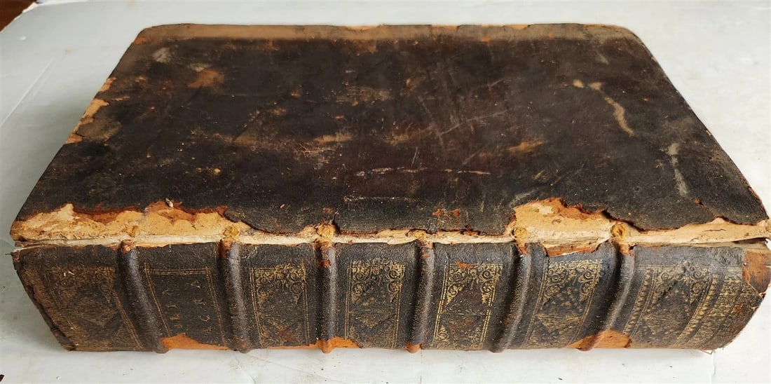 1565 BIBLE ILLUSTRATED MASSIVE FOLIO BIBLIA SACRA antique in LATIN 16th CENTURY - 8