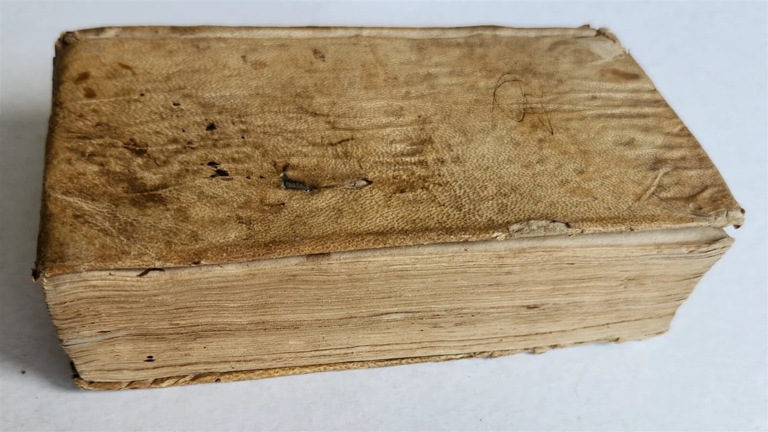 1691 POETRY antique VELLUM BINDING DESCRIPTIONES POETICAE - 2