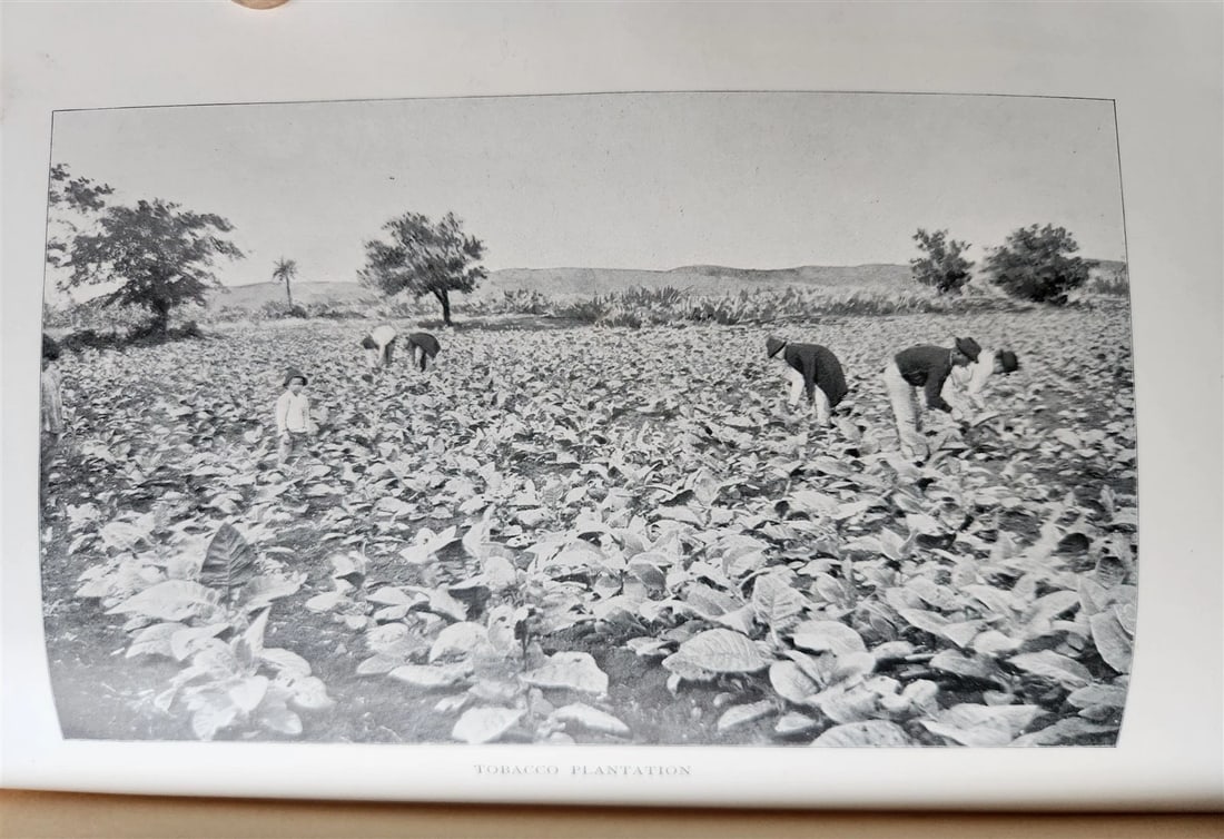 1898 COMMERCIAL CUBA by WILLIAM CLARK ILLUSTRATED SIGNED by AUTHOR ! antique - 3