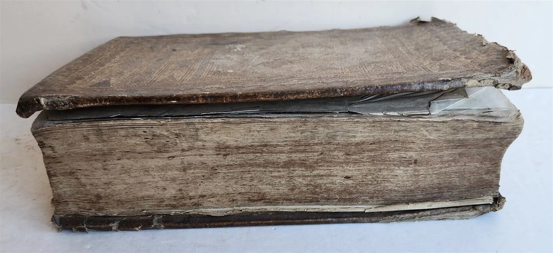 1744 THEATRUM BOTANICUM ULLISTRATED GERMAN HERBAL antique PIGSKIN BOUND FOLIO - 4