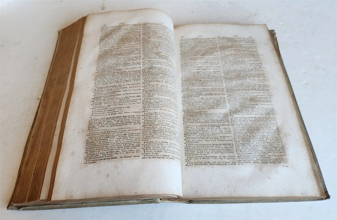 1749 THESAURUS ERUDITIONIS SCHOLASTICAE by BASILII FABRI antique VELLUM FOLIO - 9