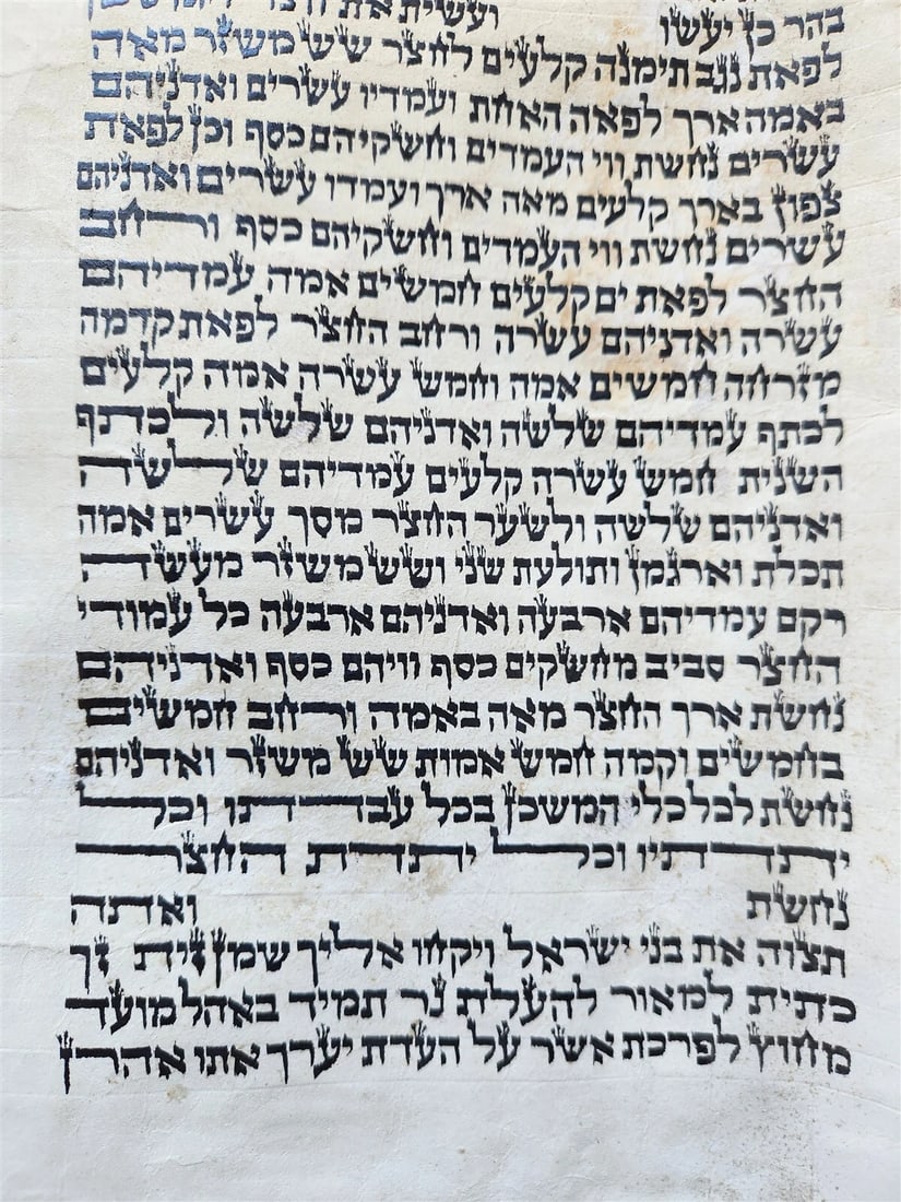TORAH SCROLL FRAGMENT MANUSCRIPT on VELLUM antique BIBLE EXODUS 26:33-29:4 - 2