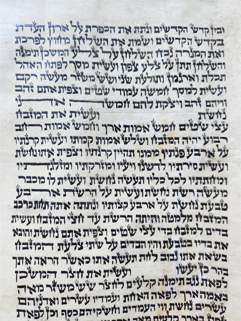 TORAH SCROLL FRAGMENT MANUSCRIPT on VELLUM antique BIBLE EXODUS 26:33-29:4 - 3