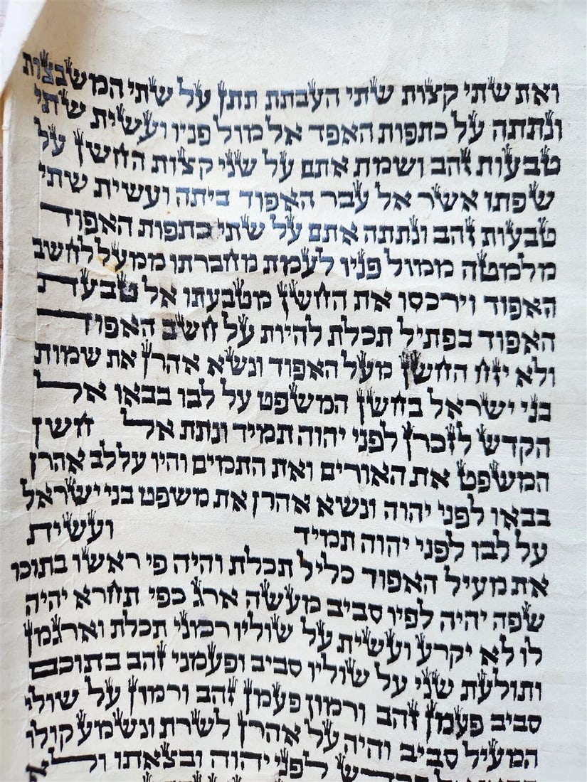 TORAH SCROLL FRAGMENT MANUSCRIPT on VELLUM antique BIBLE EXODUS 26:33-29:4 - 4