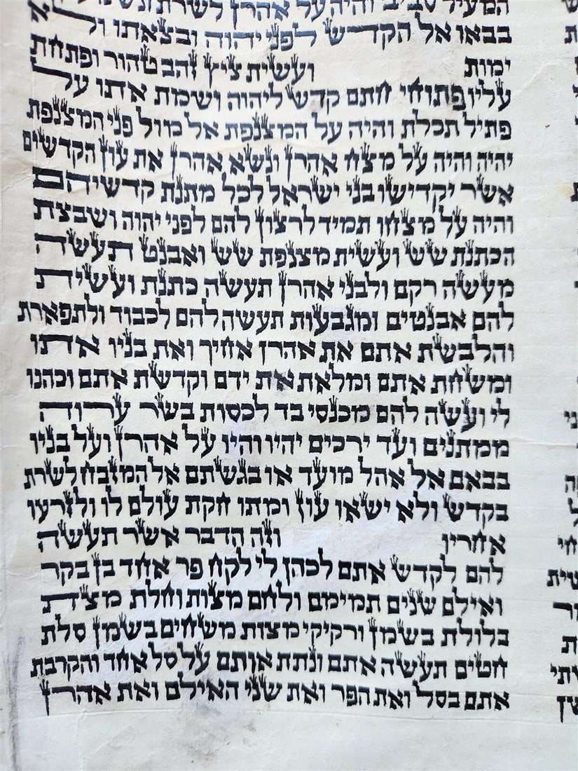 TORAH SCROLL FRAGMENT MANUSCRIPT on VELLUM antique BIBLE EXODUS 26:33-29:4 - 5