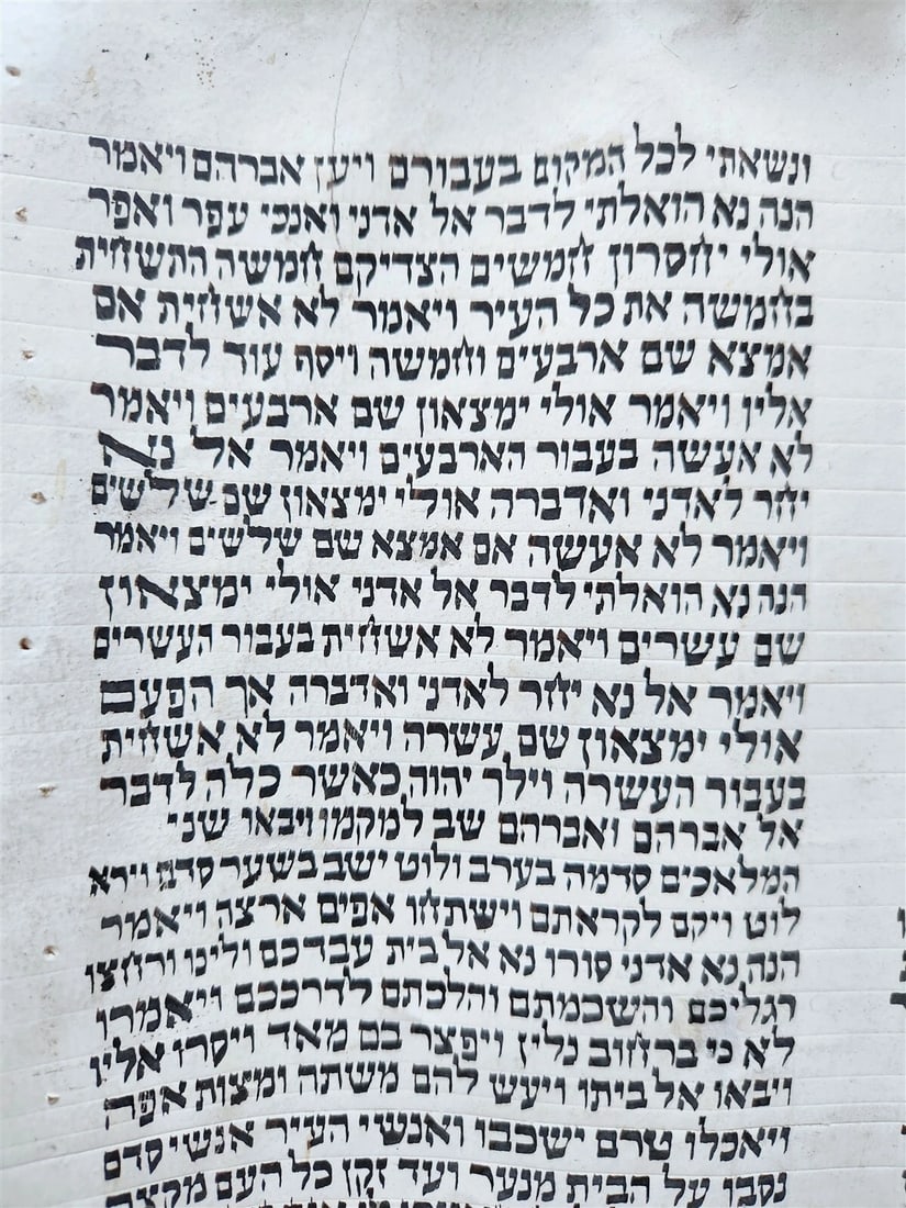TORAH SCROLL FRAGMENT MANUSCRIPT on VELLUM antique BIBLE GENESIS 15:16-19:14 - 3