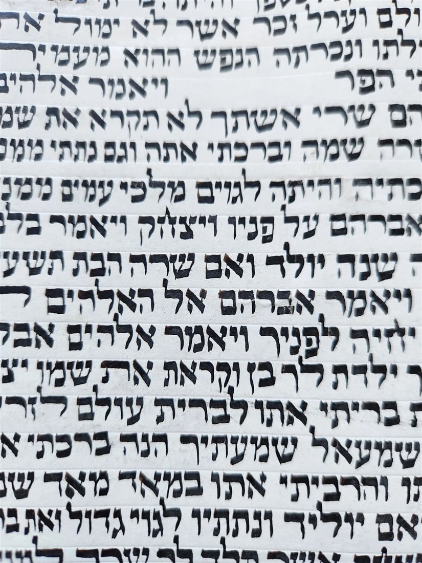 TORAH SCROLL FRAGMENT MANUSCRIPT on VELLUM antique BIBLE GENESIS 15:16-19:14 - 7