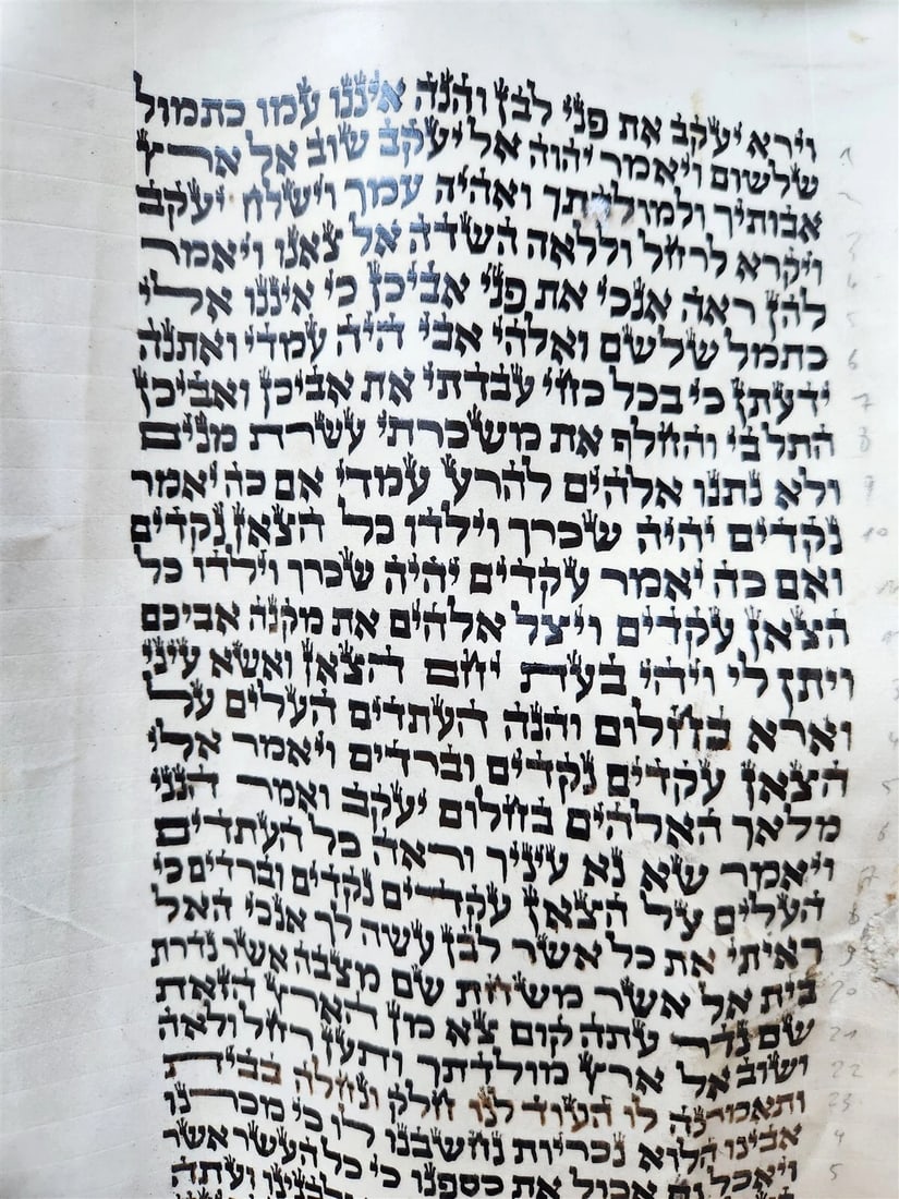 TORAH SCROLL FRAGMENT MANUSCRIPT on VELLUM antique BIBLE GENESIS 31:2-32:28 - 4