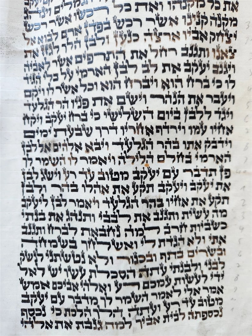 TORAH SCROLL FRAGMENT MANUSCRIPT on VELLUM antique BIBLE GENESIS 31:2-32:28 - 5