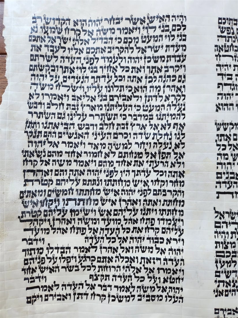 TORAH SCROLL FRAGMENT MANUSCRIPT on VELLUM antique BIBLE NUMBERS 14:45-16:25 - 4