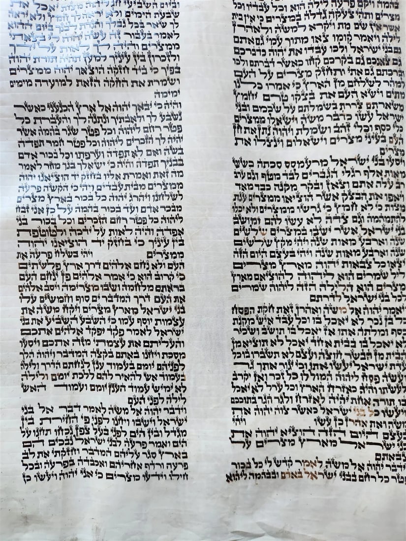 TORAH SCROLL FRAGMENT MANUSCRIPT on VELLUM antique BIBLE EXODUS 12:5-14:28 - 6