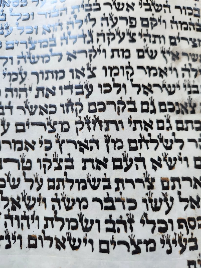 TORAH SCROLL FRAGMENT MANUSCRIPT on VELLUM antique BIBLE EXODUS 12:5-14:28 - 7