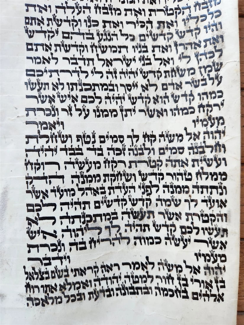 TORAH SCROLL FRAGMENT MANUSCRIPT on VELLUM antique BIBLE EXODUS 30:13-33:19 - 2
