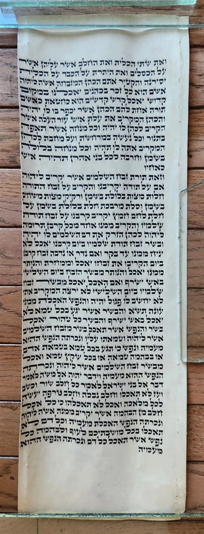 TORAH SCROLL FRAGMENT MANUSCRIPT on VELLUM antique BIBLE LEVITICUS 7:4-7:27 - 2