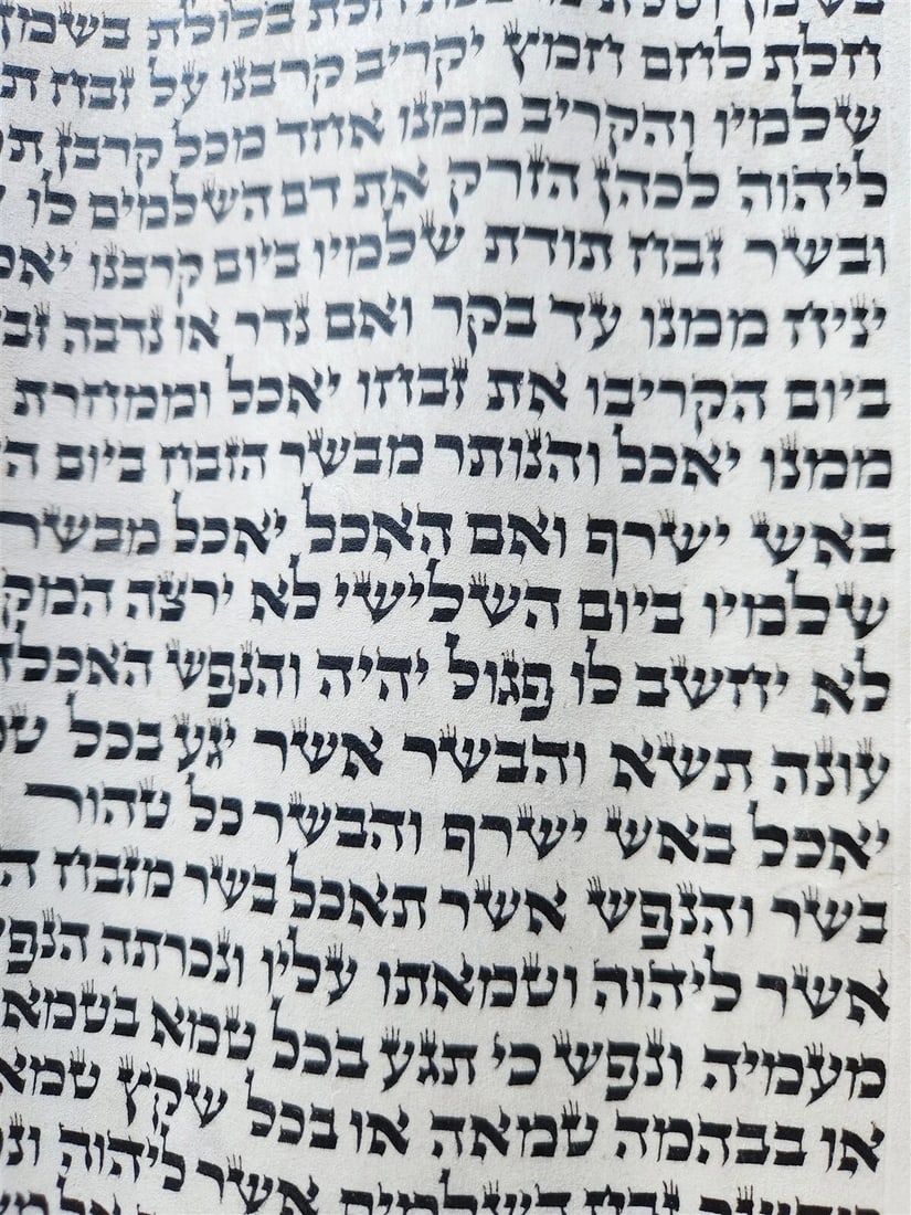 TORAH SCROLL FRAGMENT MANUSCRIPT on VELLUM antique BIBLE LEVITICUS 7:4-7:27 - 5