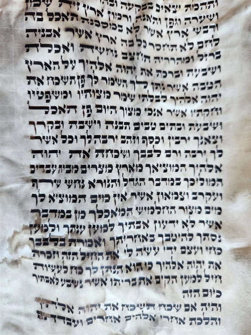 TORAH SCROLL FRAGMENT MANUSCRIPT on VELLUM antique BIBLE DEUTERONOMY 7:26-1:4 - 3