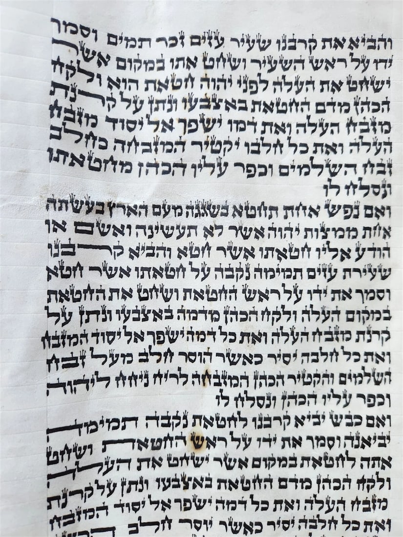 TORAH SCROLL FRAGMENT MANUSCRIPT on VELLUM antique BIBLE LEVITICUS 4:23-6:3 - 3