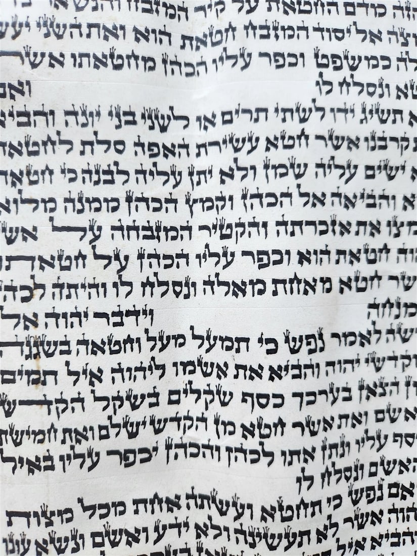 TORAH SCROLL FRAGMENT MANUSCRIPT on VELLUM antique BIBLE LEVITICUS 4:23-6:3 - 4