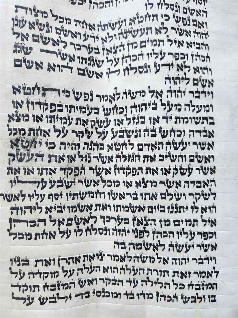 TORAH SCROLL FRAGMENT MANUSCRIPT on VELLUM antique BIBLE LEVITICUS 4:23-6:3 - 5