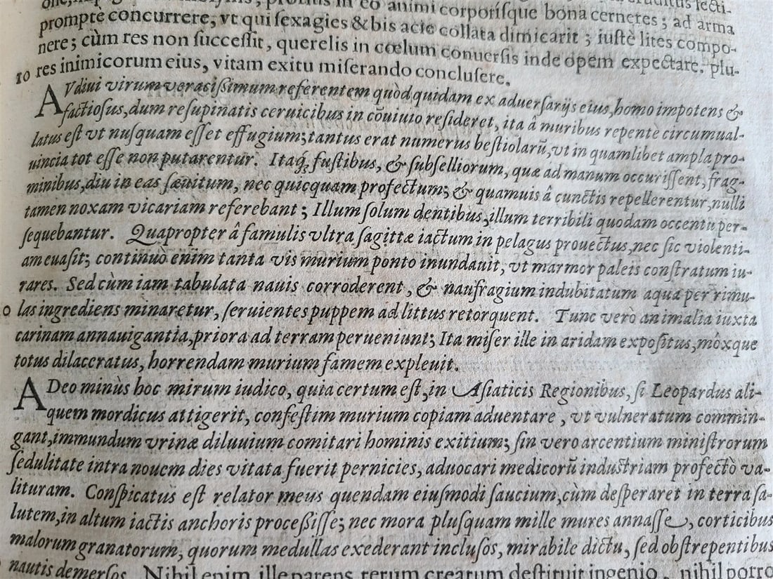 1596 ENGLISH CHRONICLES H. SAVILE antique Rerum Anglicarum Scriptores VELLUM - 20