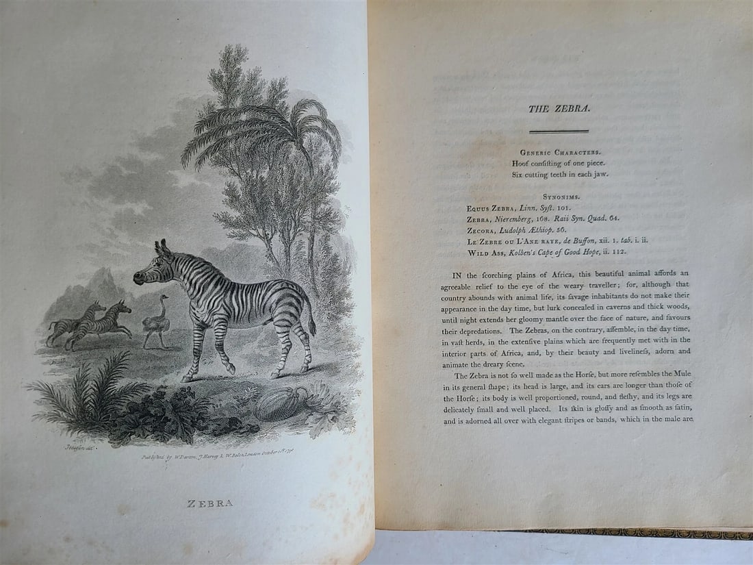 1805 CABINET of QUADRUPEDS ILLUSTRATED 2 FOLIO VOLUMES antique in ENGLISH - 16