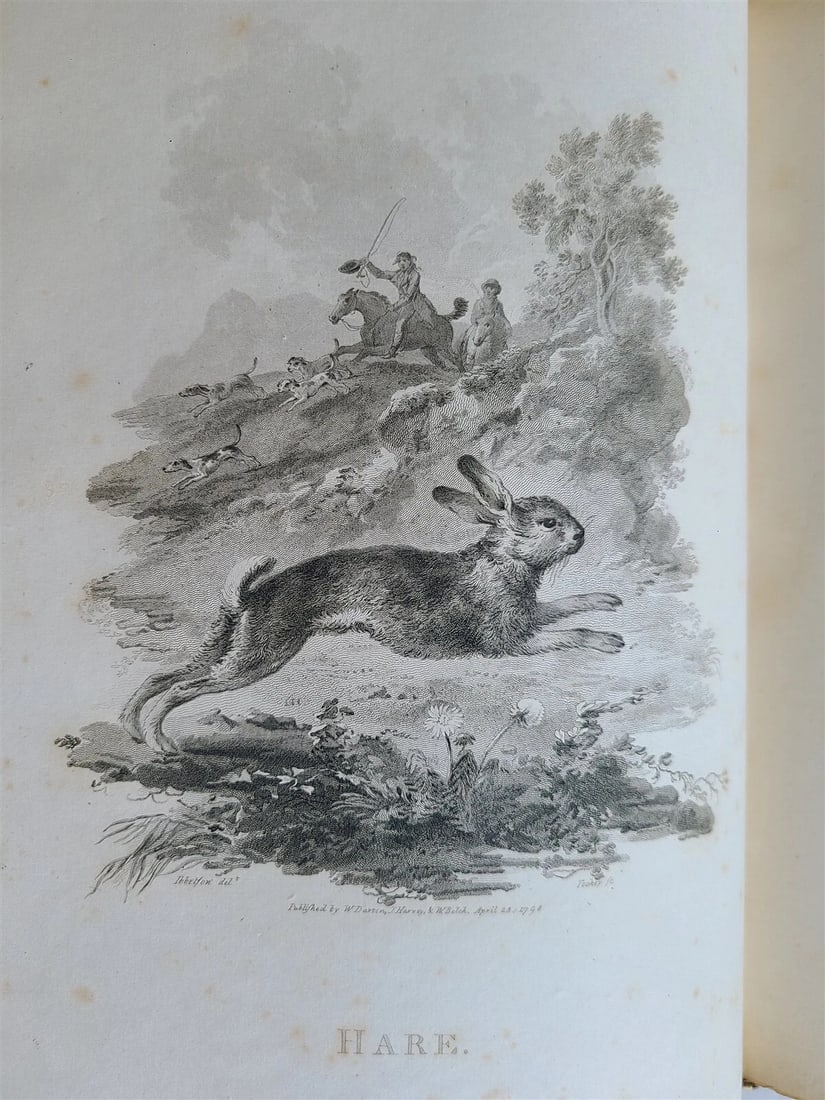 1805 CABINET of QUADRUPEDS ILLUSTRATED 2 FOLIO VOLUMES antique in ENGLISH - 7