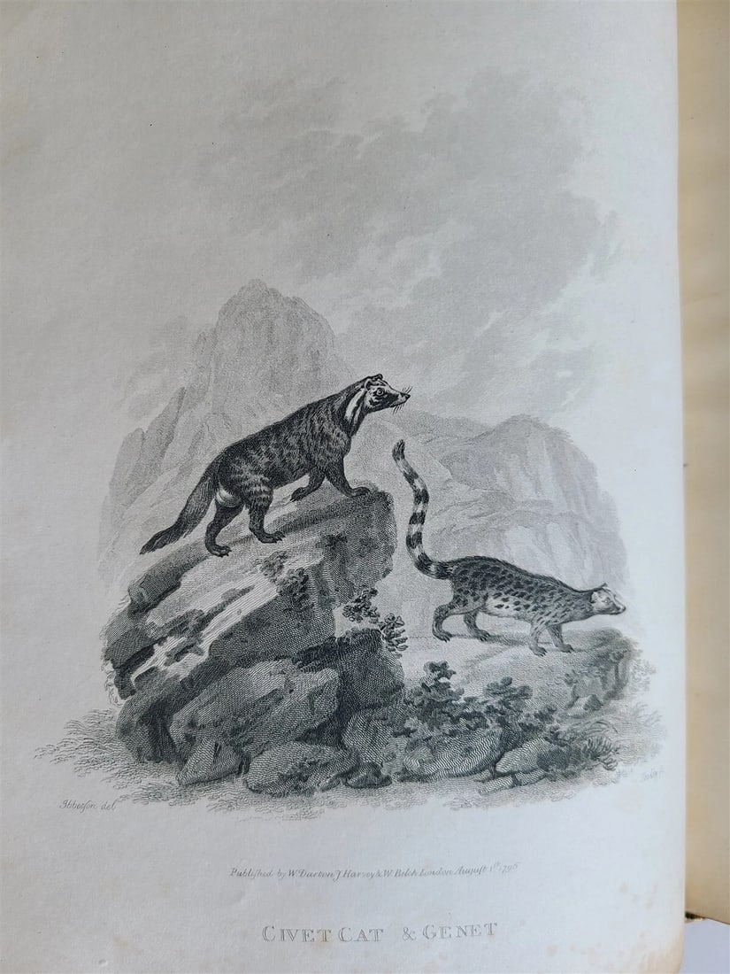 1805 CABINET of QUADRUPEDS ILLUSTRATED 2 FOLIO VOLUMES antique in ENGLISH - 8