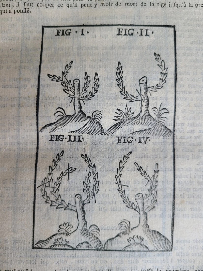 1777 2 VOLUMES antique ILLUSTRATED ANIMAL HUSBANDRY TOOLS PLANTING FORESTRY - 5