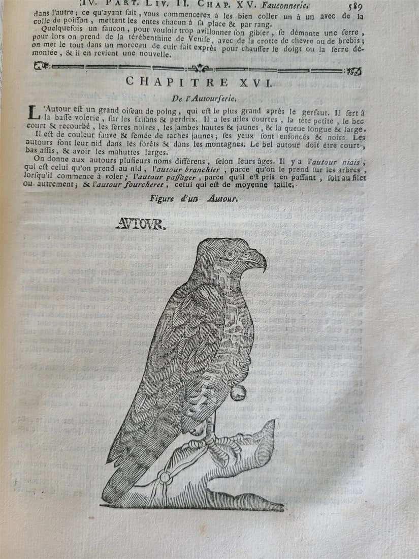 1777 2 VOLUMES antique ILLUSTRATED ANIMAL HUSBANDRY TOOLS PLANTING FORESTRY - 9