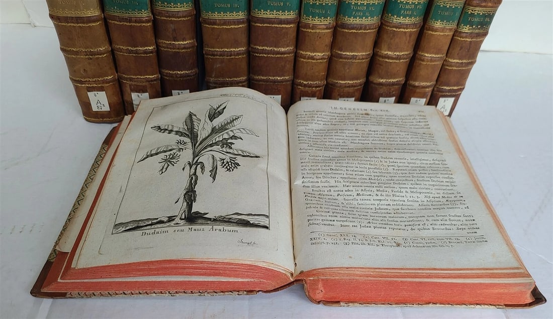 1789-92 BIBLE COMMENTARY by A. CALMET 11 VOLUMES ILLUSTRATED w/ MAPS antique - 5