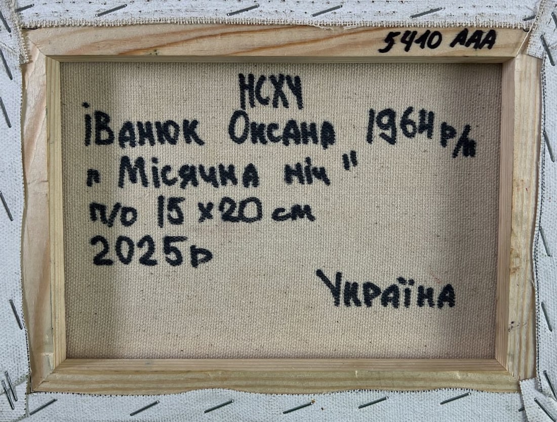 Oil painting Silence shining with a silver sky Oksana Ivanyuk - 8