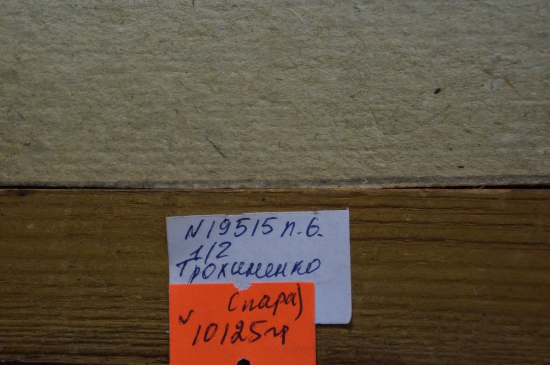 Oil painting Evening landscape Trohimenko Karp Demyanovich - 8