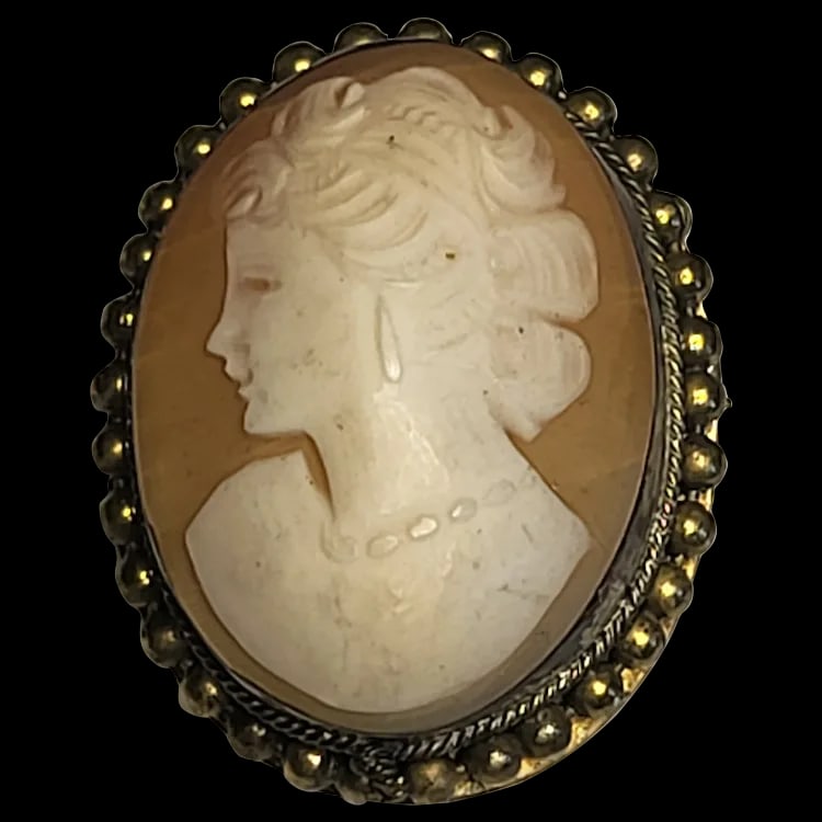 Vintage Cameo Pin/Brooch (1 of 7)