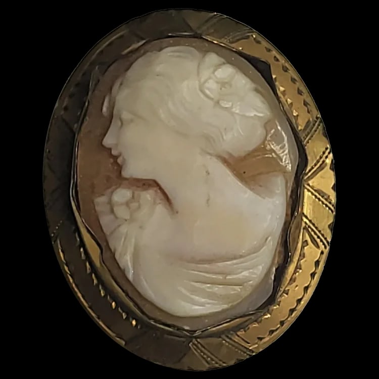 Vintage Cameo Pin/Pendant/Brooch (1 of 6)