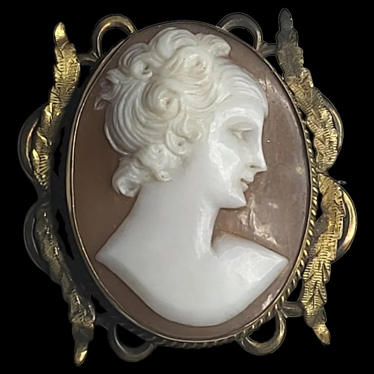 Large Ornate Vintage Cameo Brooch/Pin (1 of 5)