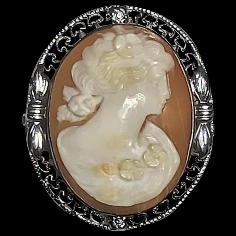 Vintage Hand-Carved Ornate Shell Filigree Cameo Pin/Brooch (1 of 5)