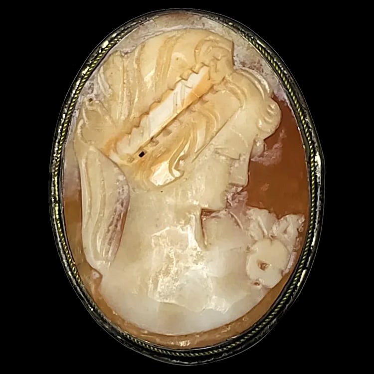 Vintage Silver Hand-Carved Shell Cameo Pendant/Brooch (1 of 5)