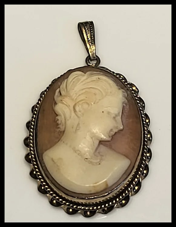 Vintage Cameo Pendant/Brooch - 2
