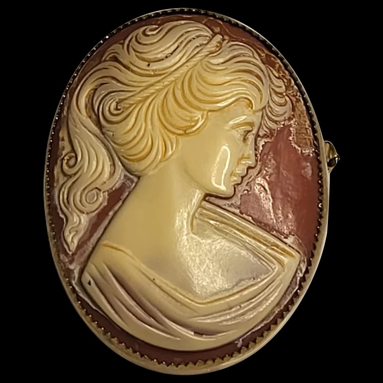 Large Vintage Cameo Pin/Brooch (1 of 5)